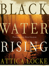 Cover image for Black Water Rising
